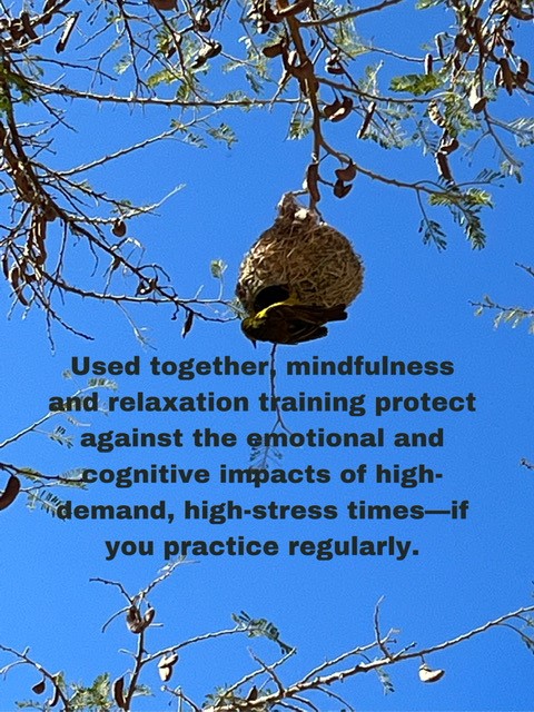 Mindful Endurance: Cultivating Strength and Resilience