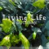 Living Life - 21 day challenge